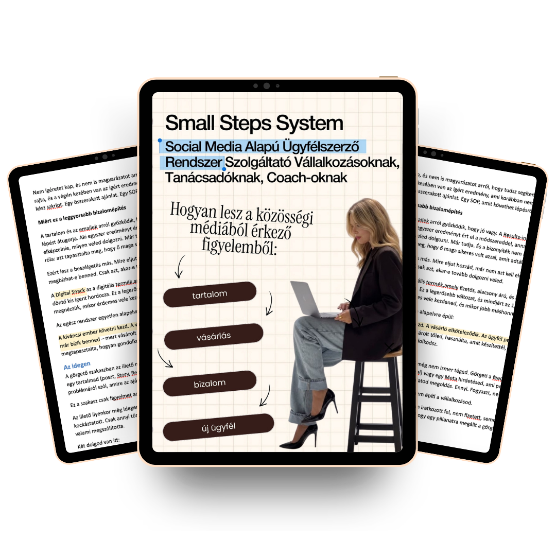 Small Steps System Playbook Cover